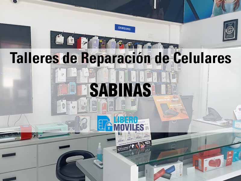 Talleres de Reparación de Celulares en Sabinas Coah - Teléfono y Ubicación