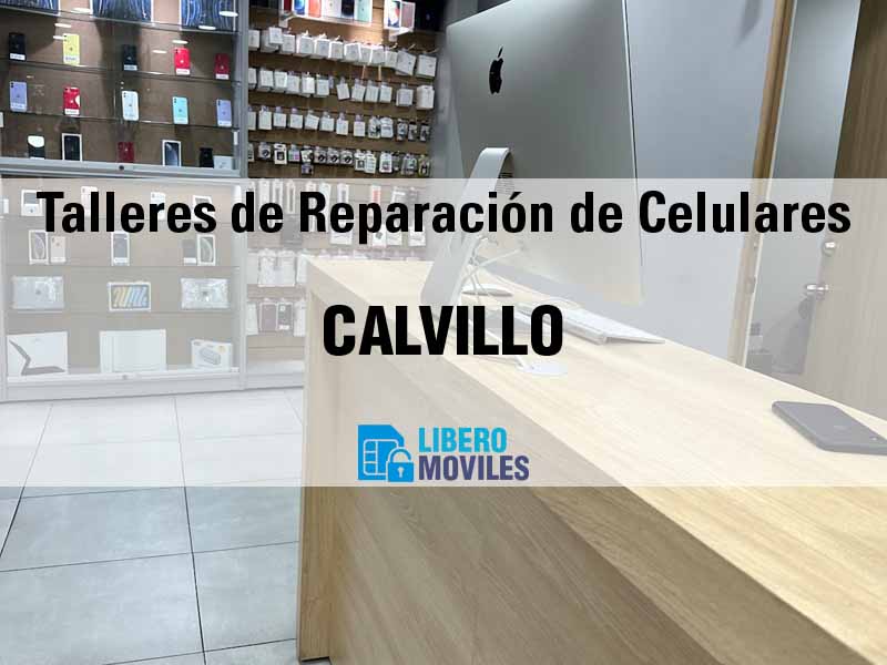 Talleres de Reparación de Celulares en Calvillo Ags - Teléfono y Ubicación